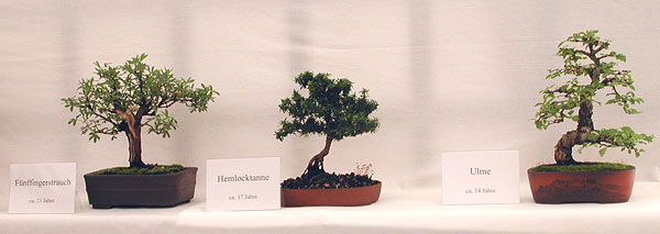 Ausflug2005