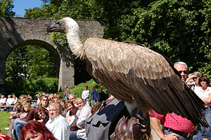 tagesausflug 2007